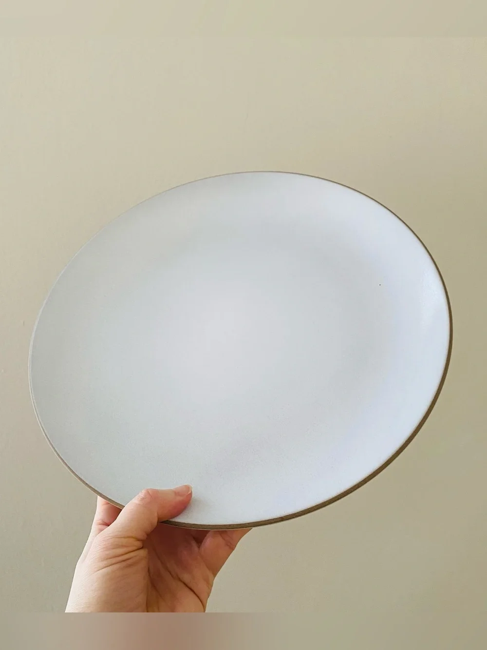 $58 New Heath Ceramics Opaque White Coupe Dinner Plate 11'' Diameter 830-1
